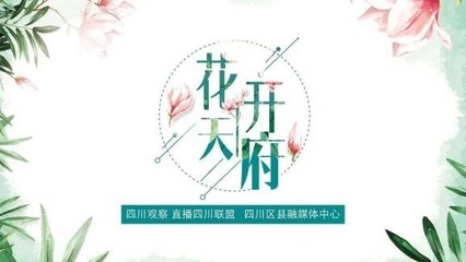 艺心抗疫 荧屏传情——四川省电视艺术家协会团体会员单位三月行动纪实